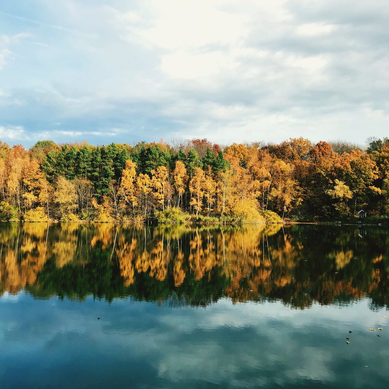 scenic-view-lake-by-trees-against-cloudy-sky