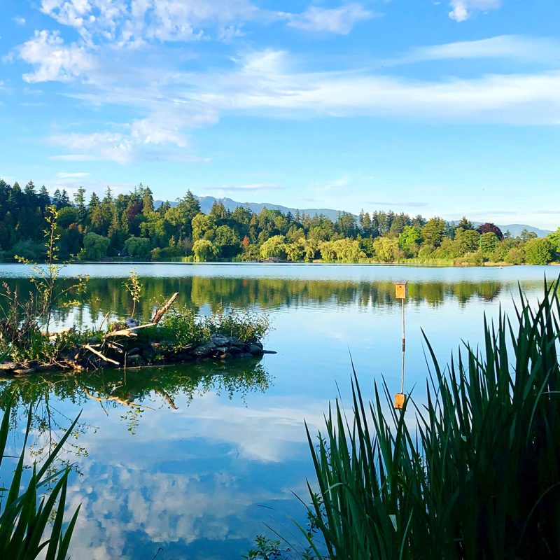 scenic-view-lake-against-sky(3)