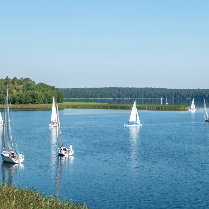 WIGRY, POLAND -  AUGUST 2019: many yachts stand on the pier and